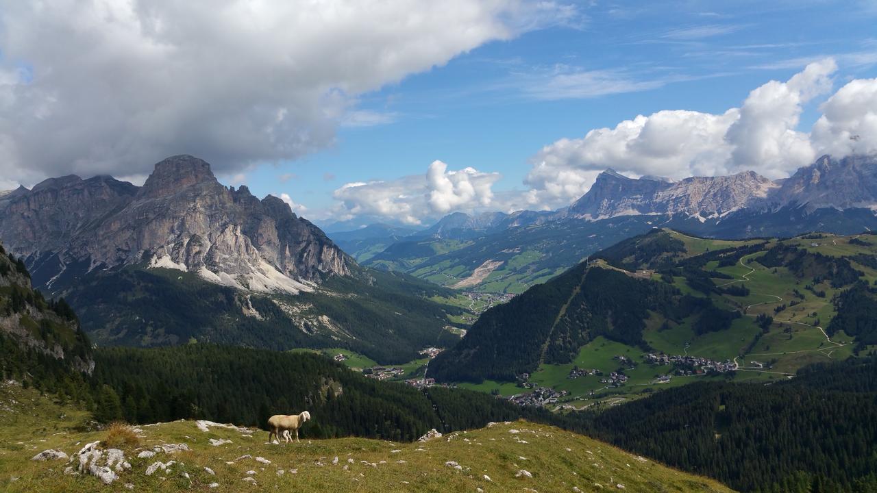 Chalet Cogolara Colfosco Kültér fotó