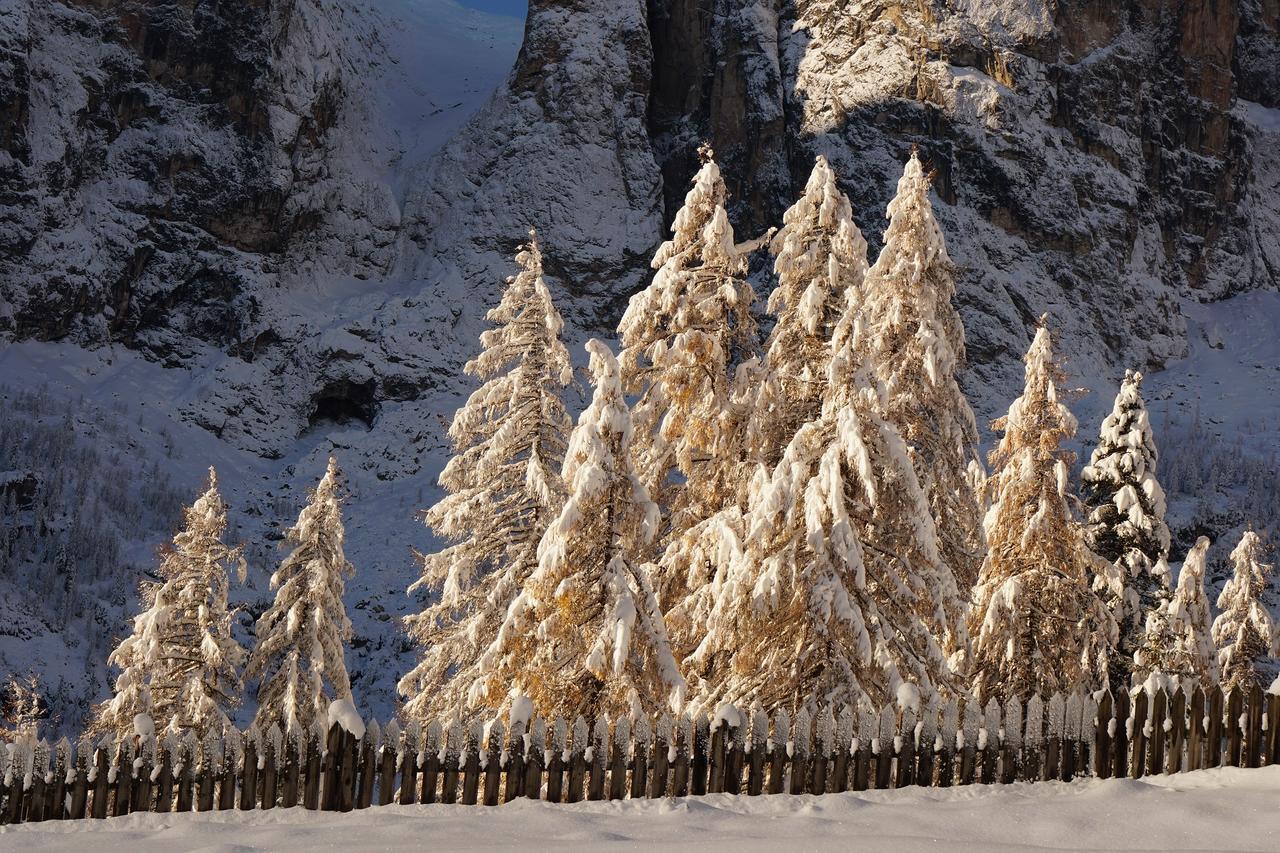 Chalet Cogolara Colfosco Kültér fotó